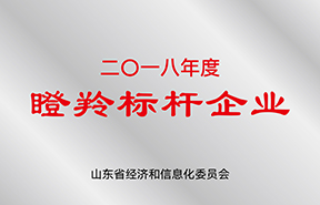 LEWIN乐玩新材料股份有限公司