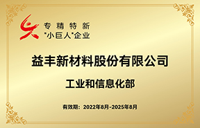 LEWIN乐玩新材料股份有限公司