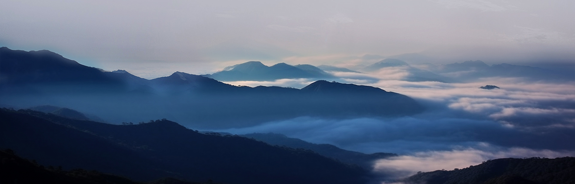 LEWIN乐玩新材料股份有限公司