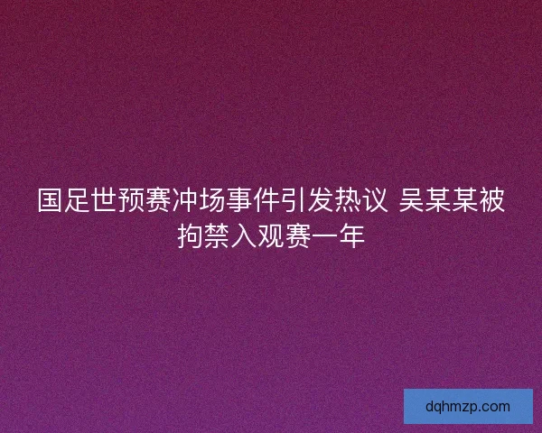 国足世预赛冲场事件引发热议 吴某某被拘禁入观赛一年